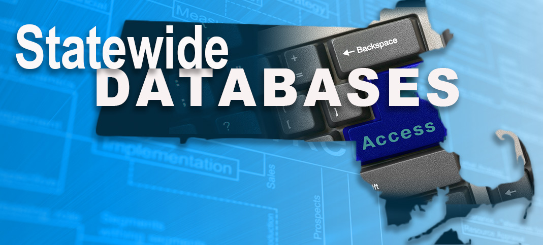 New Statewide Databases